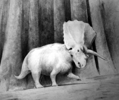 <I>Titanoceratops</I> Illustration