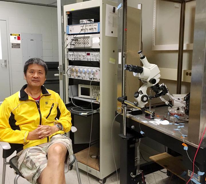 Hongbing Wang, Michigan State University