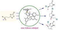 Figure 3: Selective Amidation Reaction Using the New Iridium Catalysts