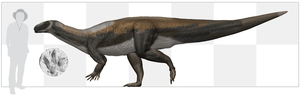 Prosauropod Scale