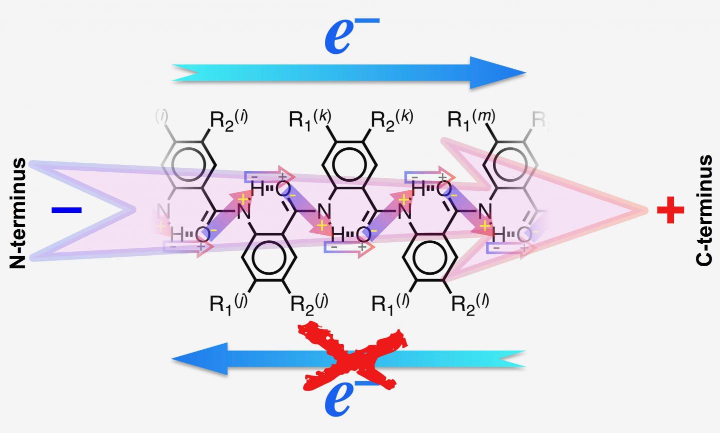 A Bioinspired Electret Dipole