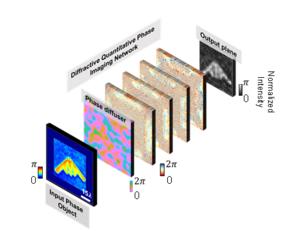 All-optical phase recovery and quantitative phase imaging through random unknown diffusers using a diffractive optical network.