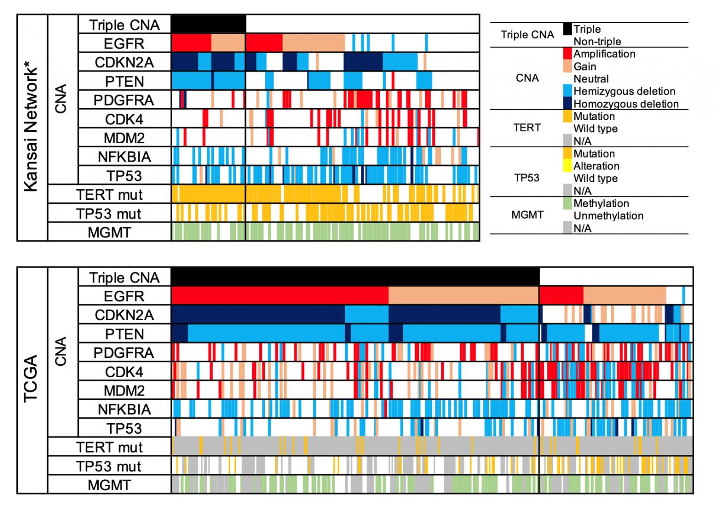 Genetic Distribution