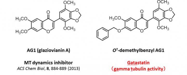 Study Results Lead to New Type of Anticancer Agent