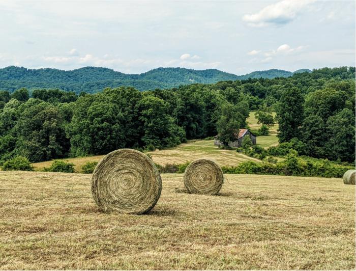 Webb family farm