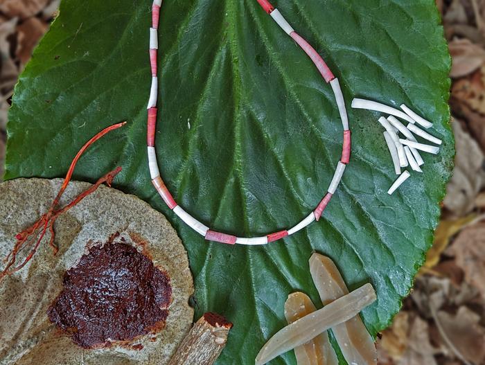 Plant-based red colouration of shell beads 15,000 years ago in Kebara Cave, Mount Carmel (Israel)