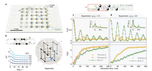 Experimental setup and identification of QMBS states via quantum state tomography