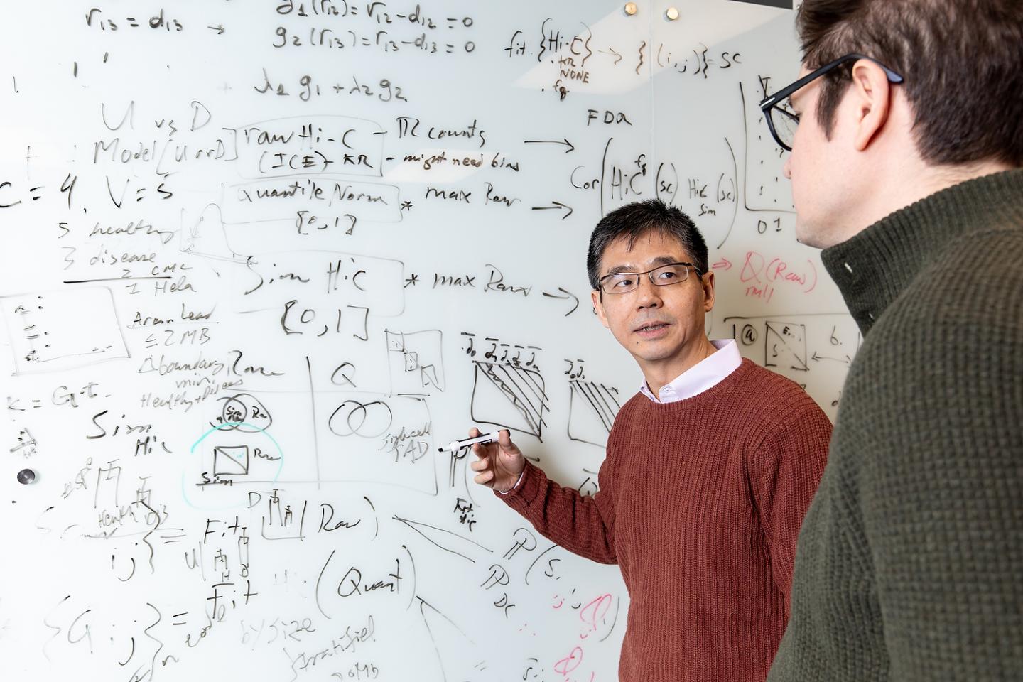 Jie Liang, University of Illinois at Chicago