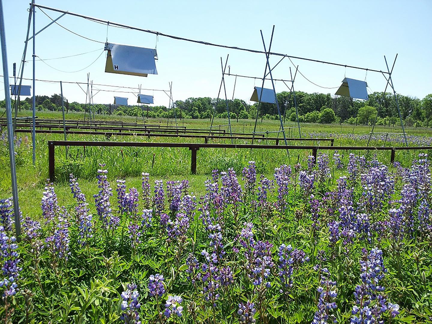 Climate warming promotes species diversity, but with greater taxonomic redundancy, in complex environments (5 of 5)