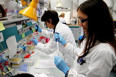 The Sense of Antisense RNA