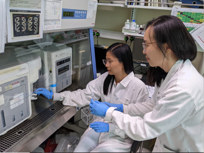 SMART AMR researchers Dr Wei Lin Lee (left) and Dr Peiying Ho (right) use the flow cytometer to evaluate changes to the bacterial cells after exposing them to various antibiotics and toxic chemicals