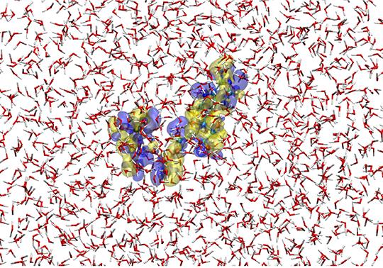 ATP Hydrolysis Energy Explained through Large-Scale Hybrid Quantum/Classical Simulations