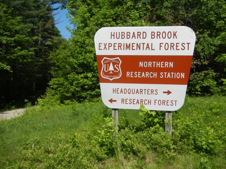 Hubbard Brook Experimental Forest