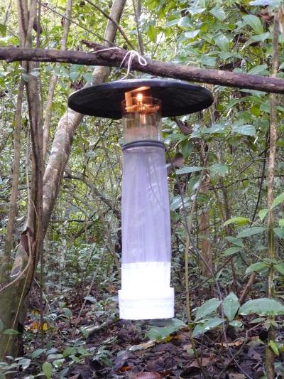 Sand fly barcoding in Panama reveals Leishman EurekAlert