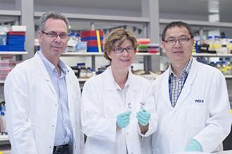 Walter and Eliza Hall Institute Researchers