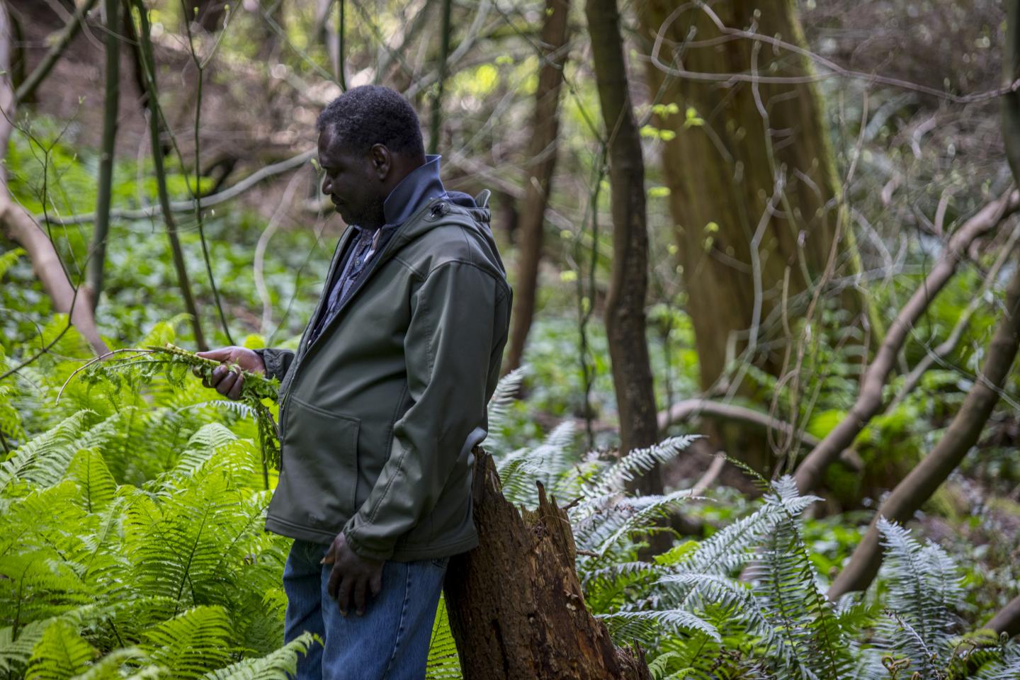 Seattle Arboretum-3