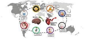 The factors behind the shifting trends of ischemic heart disease and stroke