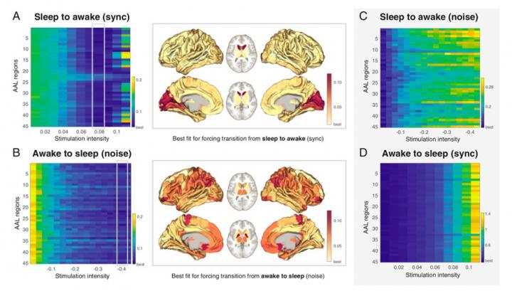 Areas when Stimulated Force the Transition of the Brain into Wakefulness-Sleep States, and Vice-Vers