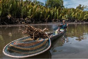 When oil palm plantations degrade water quality, Indigenous Papuans bear the brunt of the effects.