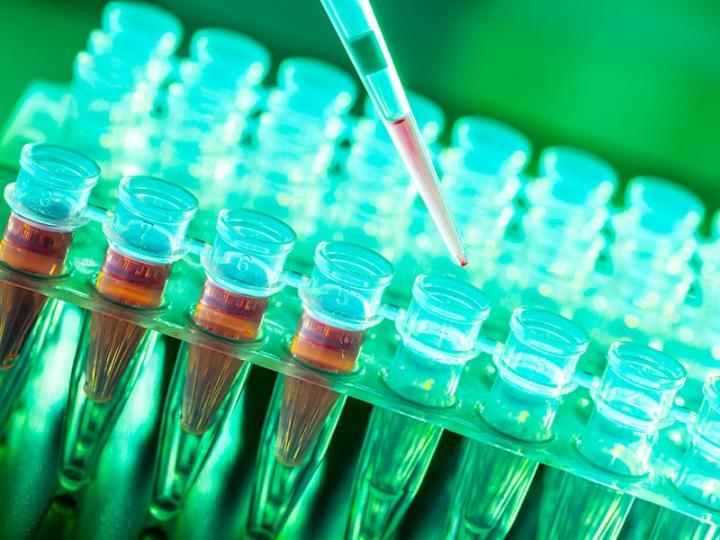 Tulane Professor Receives Grant to Improve Stem Cell Survival