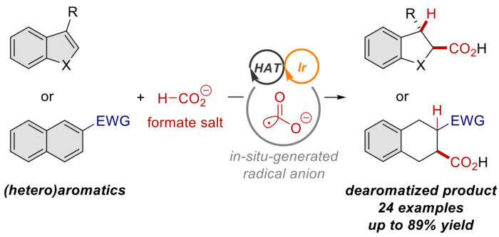 General reaction scheme for the addition of CO2 radical anions