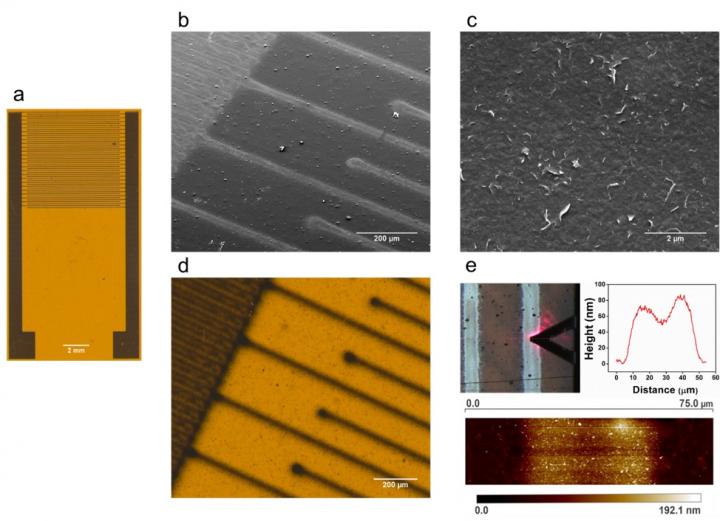 Printed Graphene Sensors for Food Safety