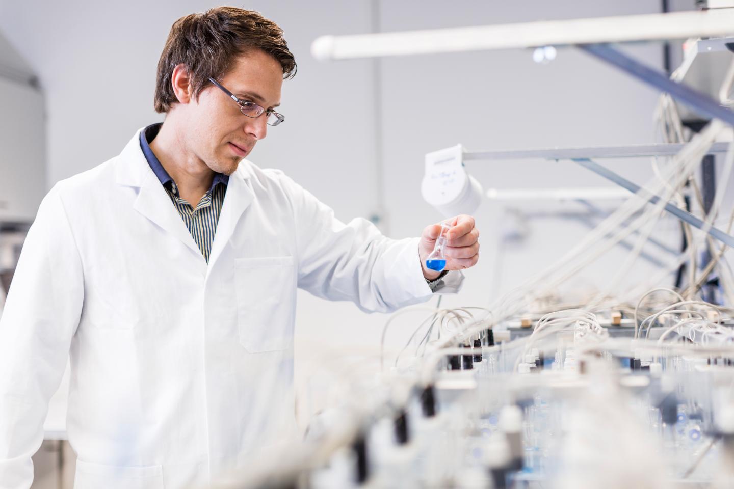 Nico Eisenhauer, German Centre for Integrative Biodiversity Research (iDiv) Halle-Jena-Leipzig