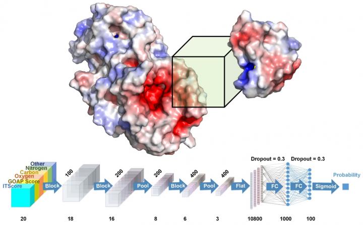 Purdue University Drug Development