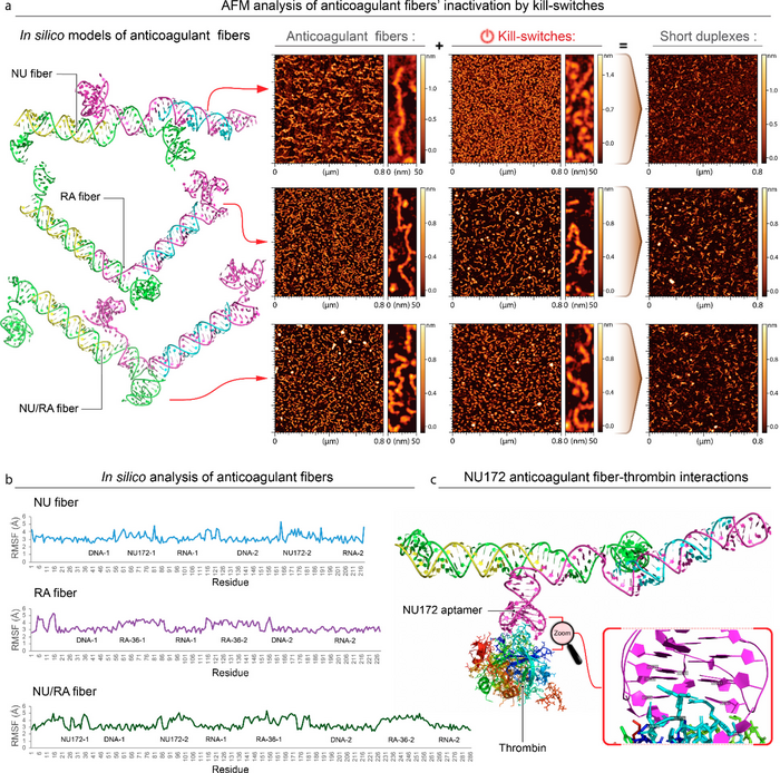 Characterization of anticoagulant fibers.
