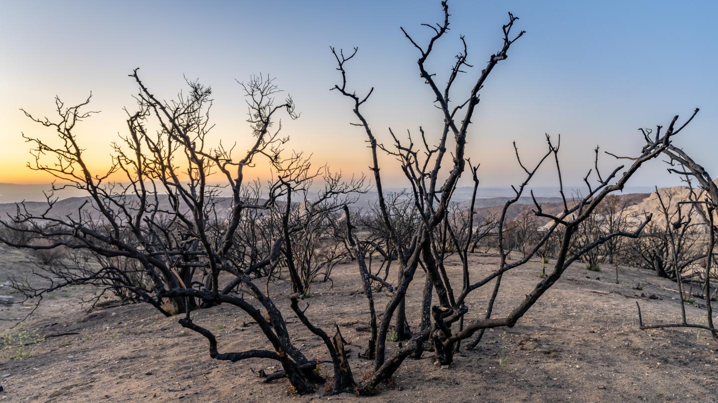 Devil's Punchbowl, Los Angeles County