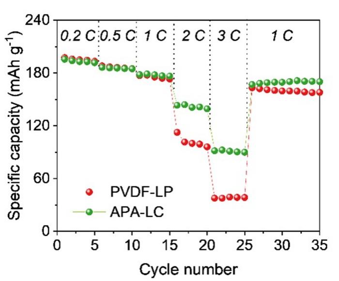 Rate capability of Graphite/NCM811 coin-type full cells at a charge rate of 0.5 C and discharge rate from 0.2 C to 3 C (1 C = 210 mAh g−1)