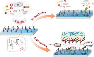 Diagram of antifouling mechanism of the SMP-IL membrane.