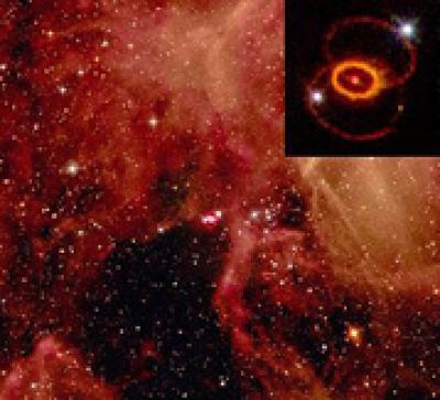 A Supernova Star-Field