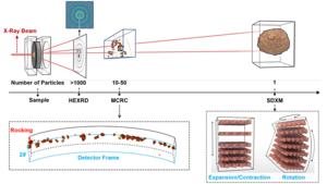 Battery Materials Method