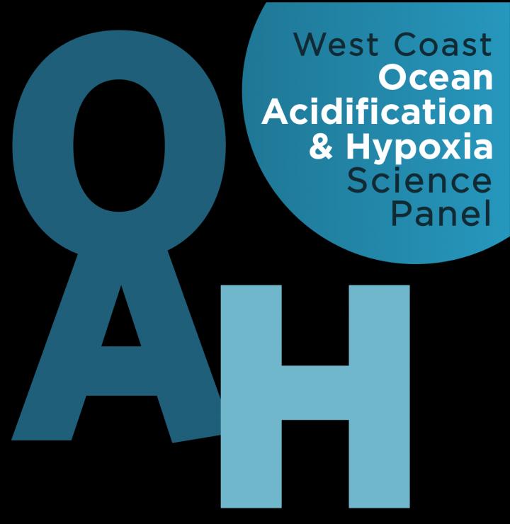 Leading Ocean Scientists Recommend Action Plan To Combat Changes to Seawater Chemistry