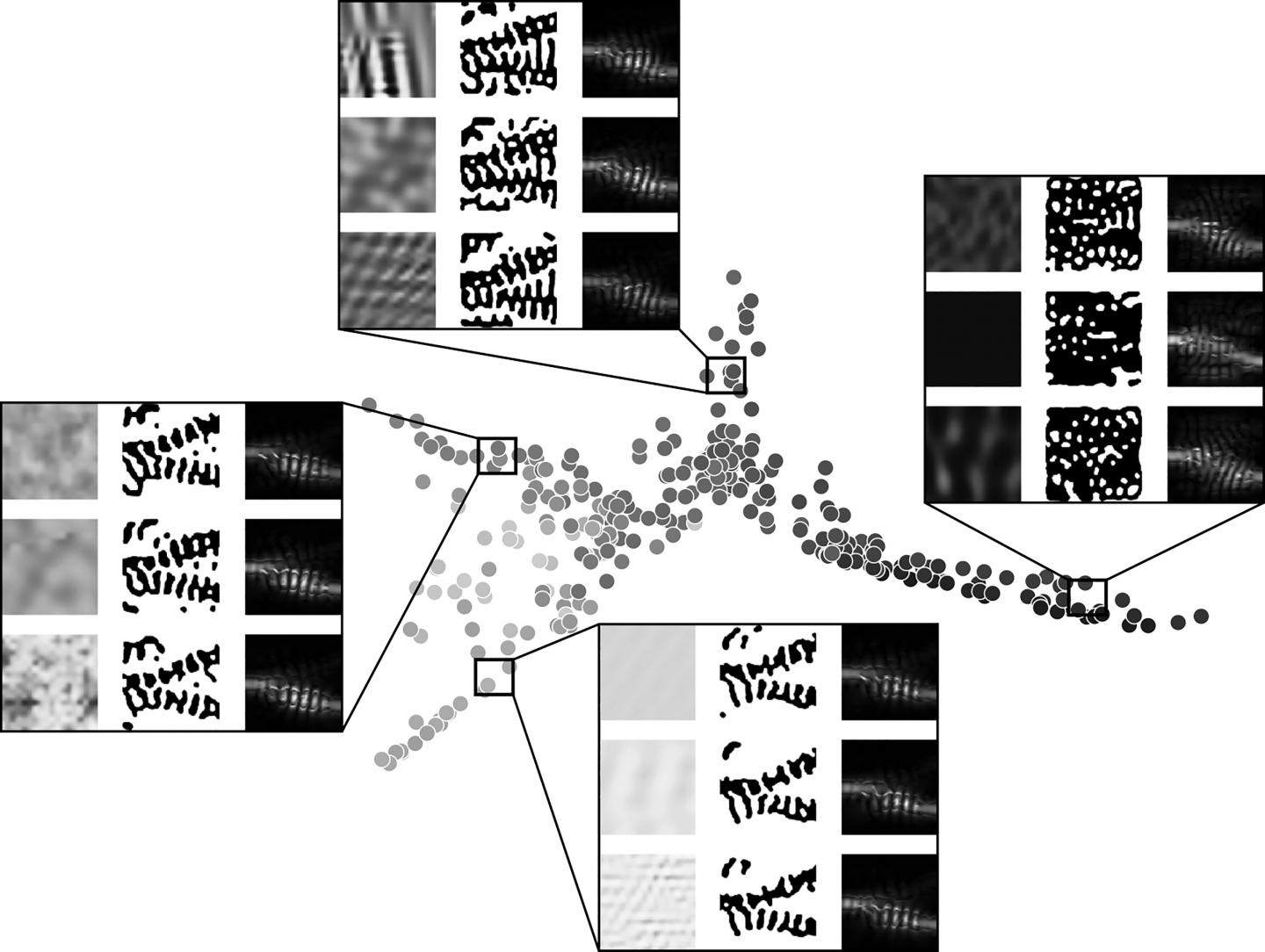 Photonic Inverse Design Produces An Assortment of Nonintuitive Designs