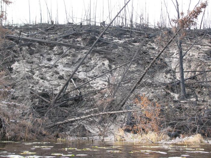 Thawing permafrost after a fire in Yukon Flats