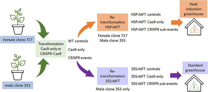 Figure 1. [IMAGE] | EurekAlert! Science News Releases