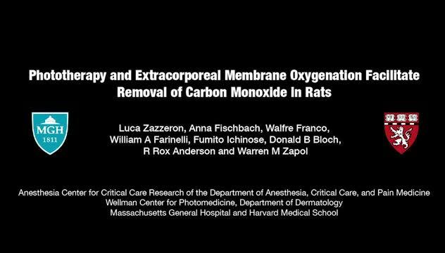 Light-Based Therapy Quickly Treats Carbon Monoxide Poisoning in Rats (4 of 4)