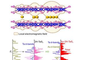 High-performance Surface Enhanced Raman Scattering Substrate Proposed Based on 2H-TaS2 and Single-atom-layer Gold Clusters