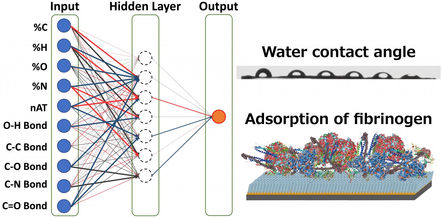 Artificial Neural Network Model 