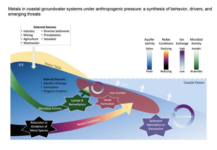 Illustration metal behavior in the coastal aquifer