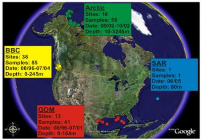 Metagenomics of the Ocean's Viral Species