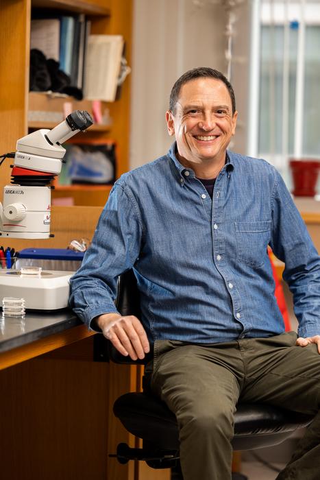 Douglas Portman, PhD, professor of Biomedical Genetics at the Del Monte Institute for Neuroscience at the University of Rochester