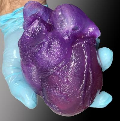 3D Bioprinted Heart Model from CMU