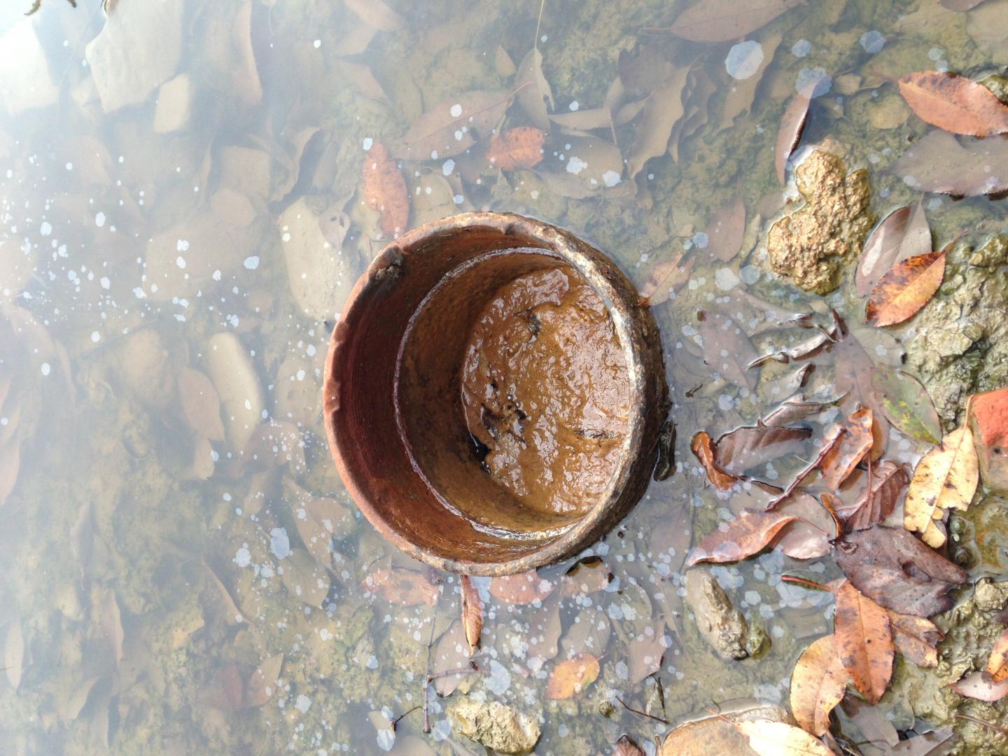 Bubbles of methane gas in water