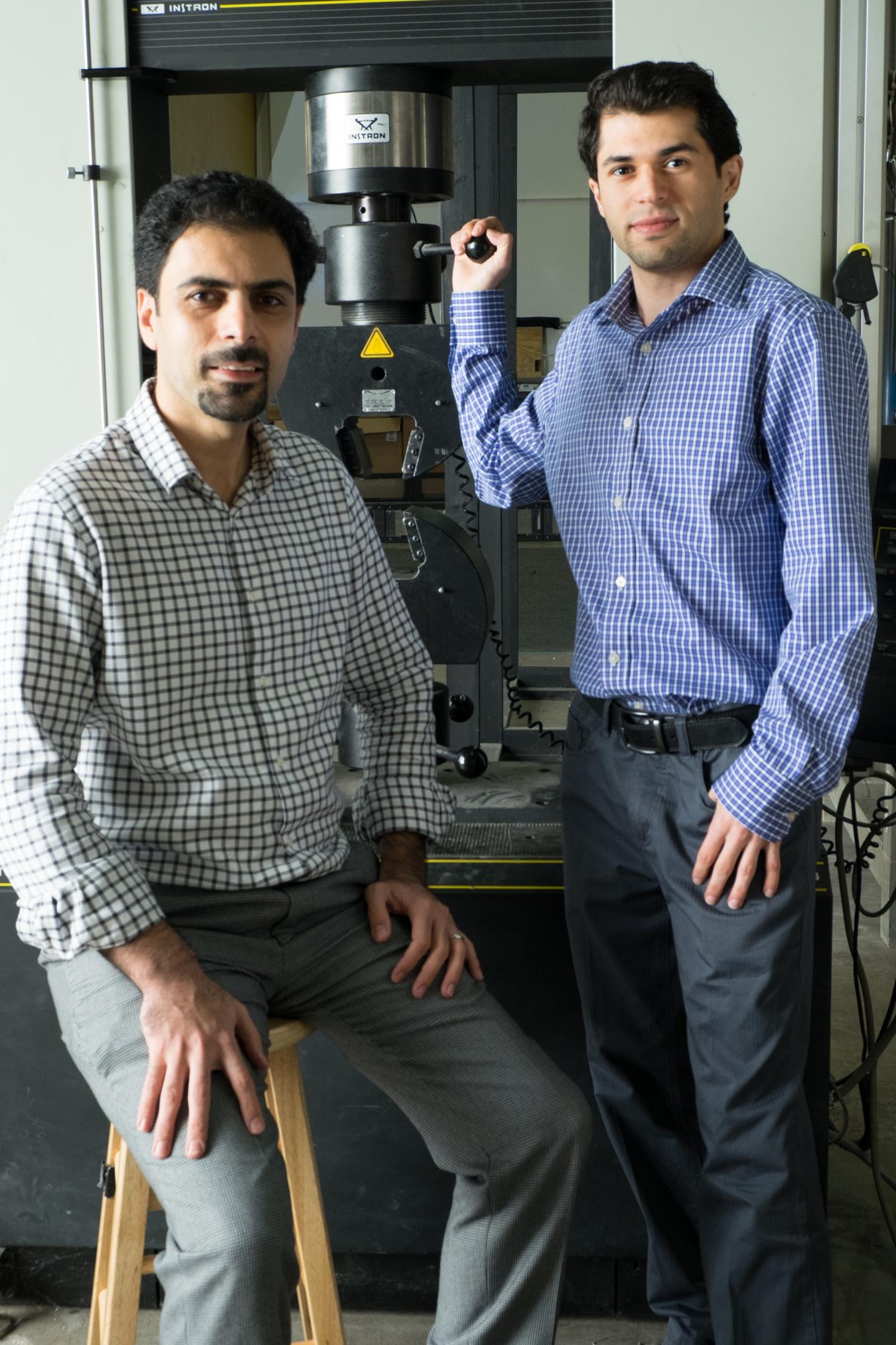 Rouzbeh Shahsavari and Navid Sakhavand, Rice University 