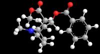 Molecular Structure of Cocaine