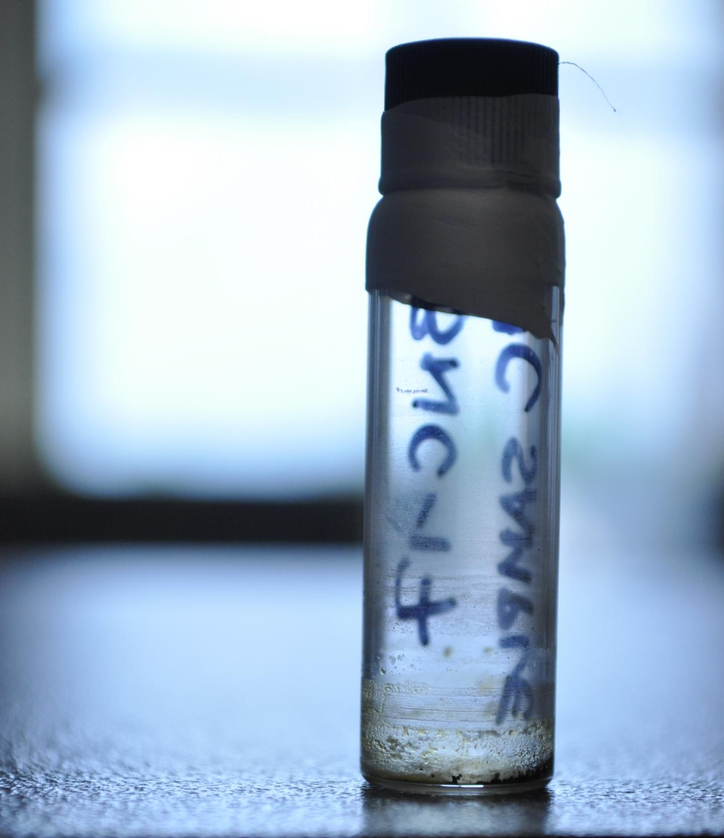 Vial Containing 5,000-Year-Old Lipid