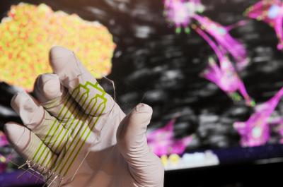 Microfluidic Device for Stem Cell Separation